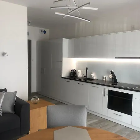 Lux Gray Basen, Piec Morz Apartment *